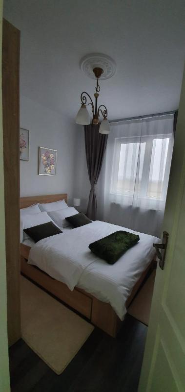 FăgăraşApartament Thea公寓 外观 照片
