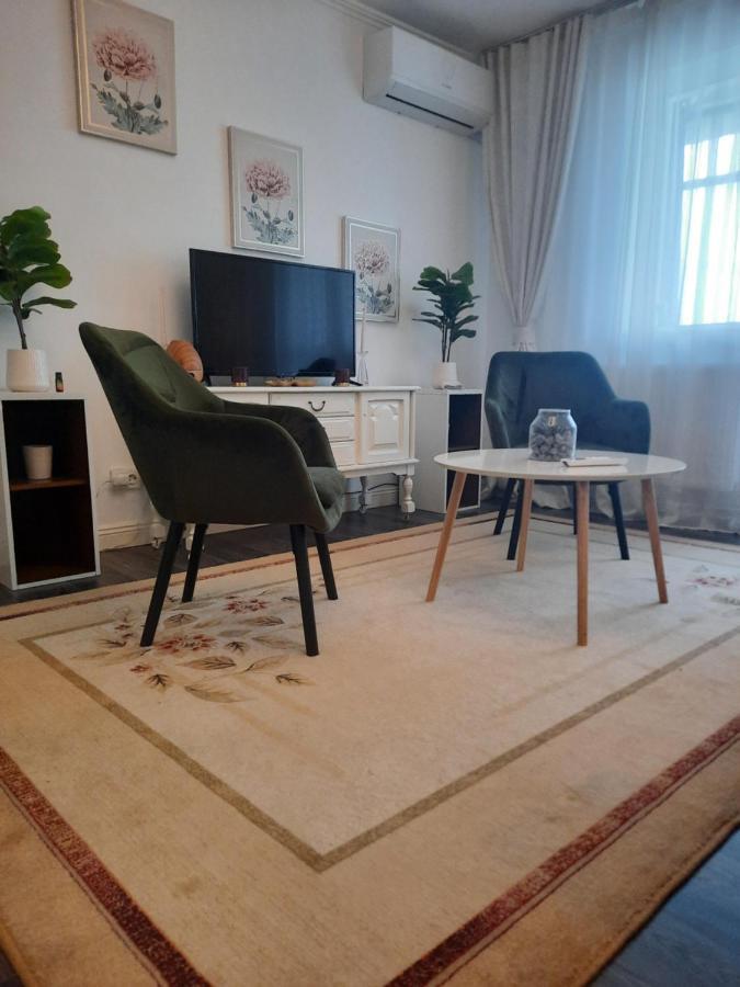 FăgăraşApartament Thea公寓 外观 照片